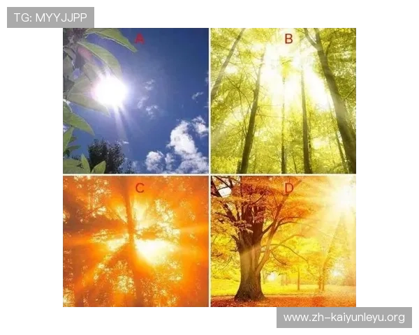 开运数字站：掌握数字学技巧让你的每一天都充满好运与希望