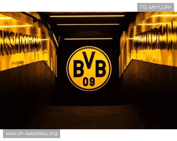 探索开云体育娱乐官网作为勒沃库森官方赞助商在足球赛事中的品牌曝光策略